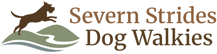 Severn Strides Dog Walkies